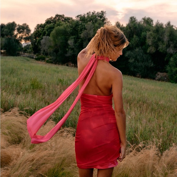 Zara Printed Tulle Dress - Picture 5 of 10